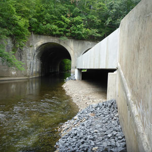 SR 191 Bridge Replacement Inside Stites Tunnel