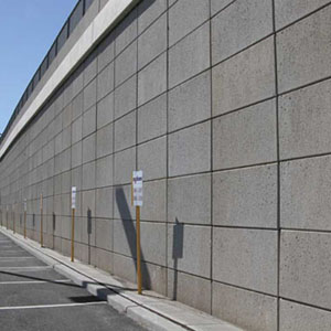 Newark Airport Access Ramp