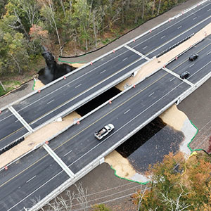 Bridges 1-488 N&S Over Blackbird Creek