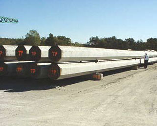 Piles in the yard