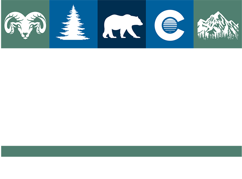 Convention Logo